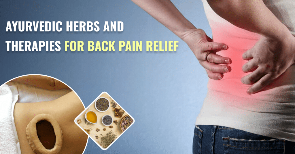 ayurvedic therapies for back pain