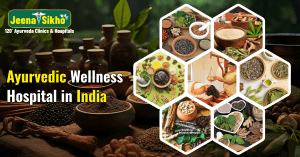 ayurvedic wellness hospital in India