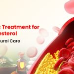 Ayurvedic treatment for high cholesterol