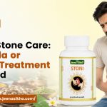 ayurvedic vs modern treatment for kidney stones