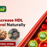 Best Foods to Increase HDL Cholesterol