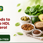 Foods to Increase HDL Cholesterol