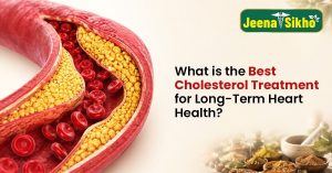Best-Cholesterol-Treatment-for-Long-Term-Heart-Health